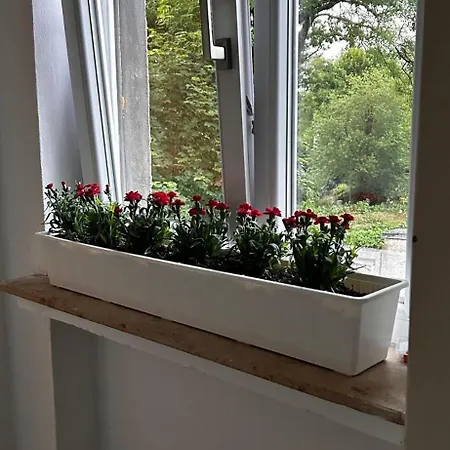 In Апартаменты *